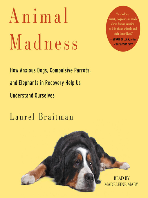 Title details for Animal Madness by Laurel Braitman - Wait list